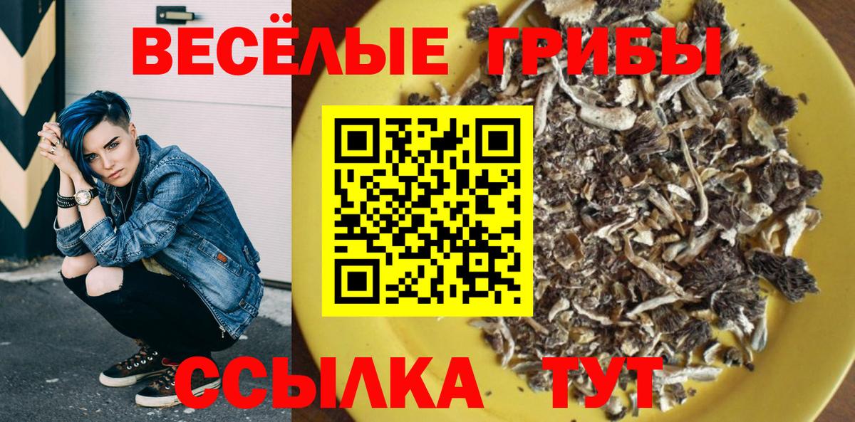 Керчь  Галлюциногенные грибы Psilocybe  Галлюциногенные грибы ЛСД  Вход с VPN 