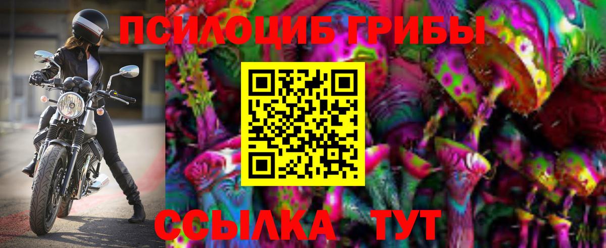 Галлюциногенные грибы мицелий Керчь